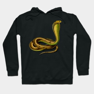 Vintage Egyptian cobra snake reptile Hoodie